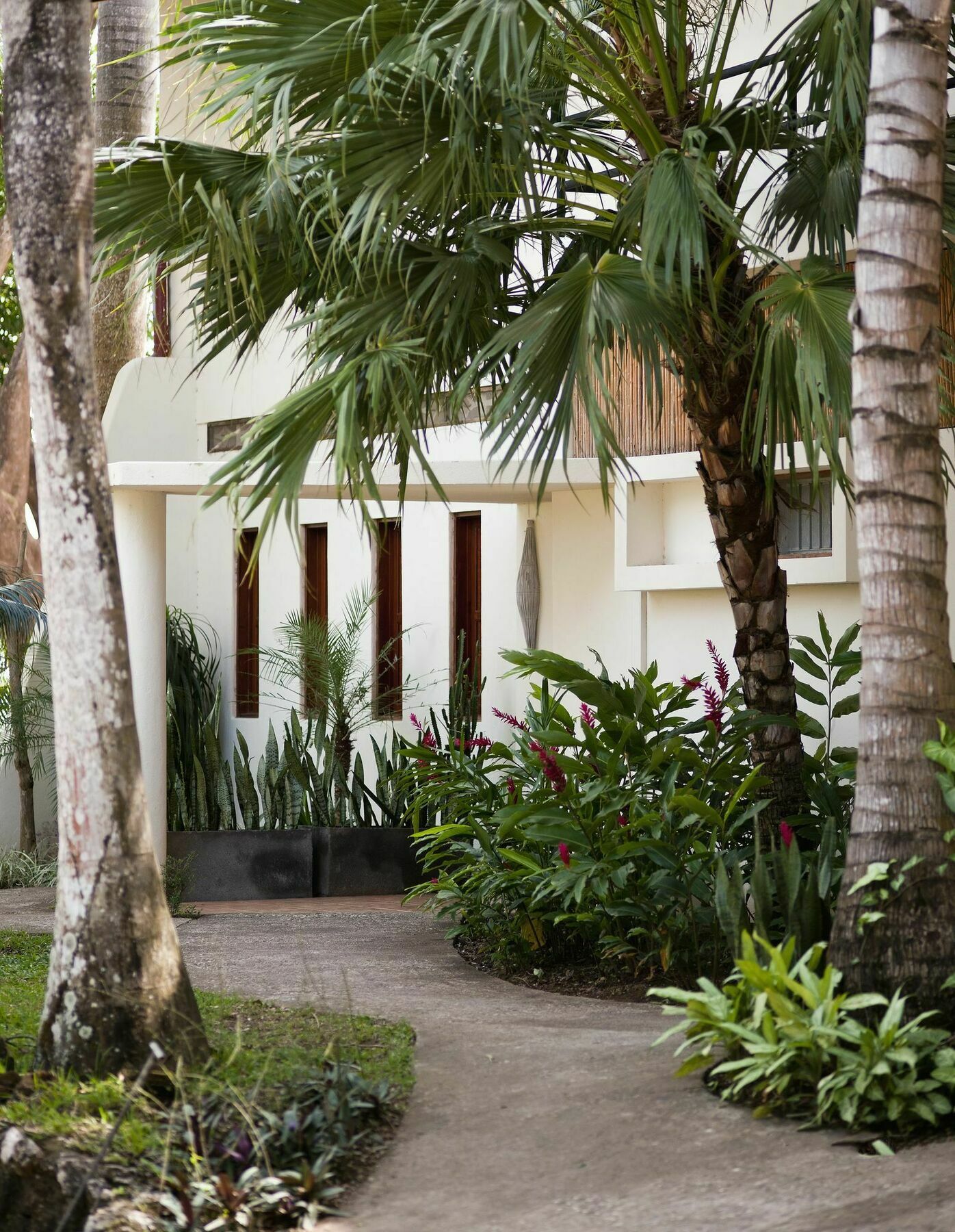 Tierra Magnifica Boutique Hotel Nosara Eksteriør billede